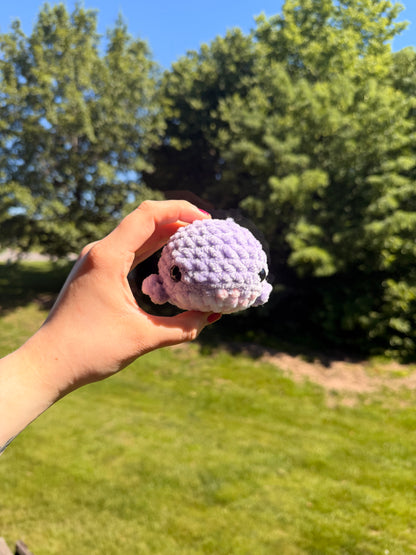 Crochet Whale