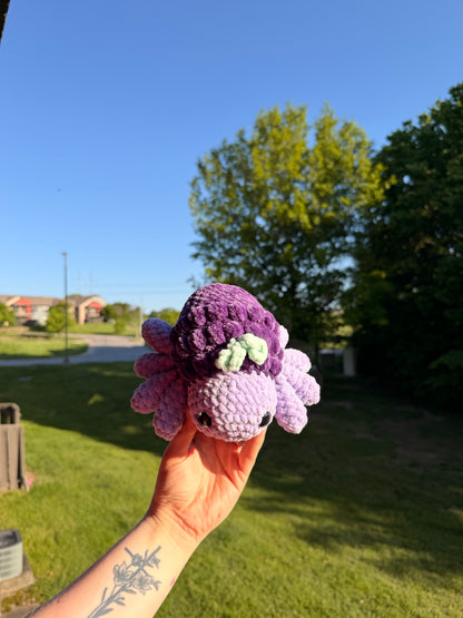 Crochet Fruit Spider