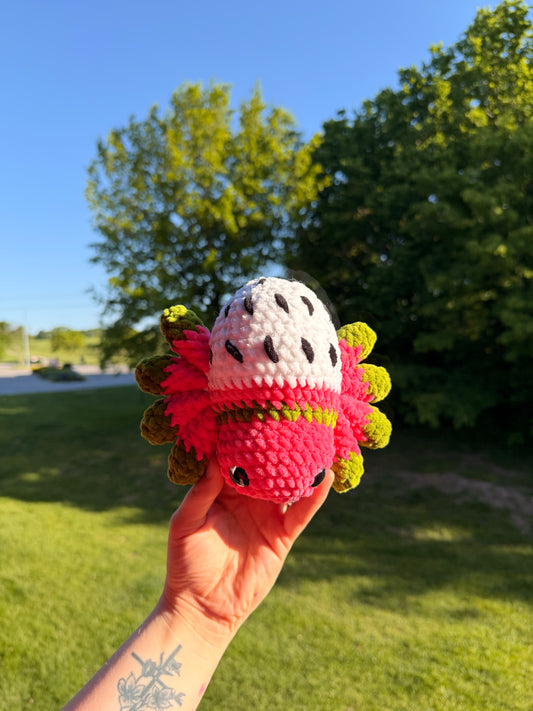 Crochet Fruit Spider