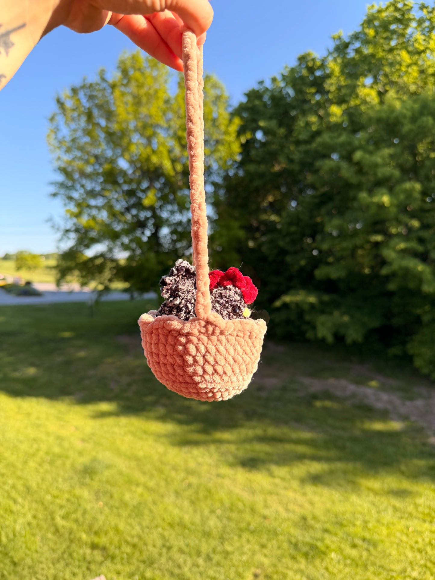 Crochet Chicken in a Swing