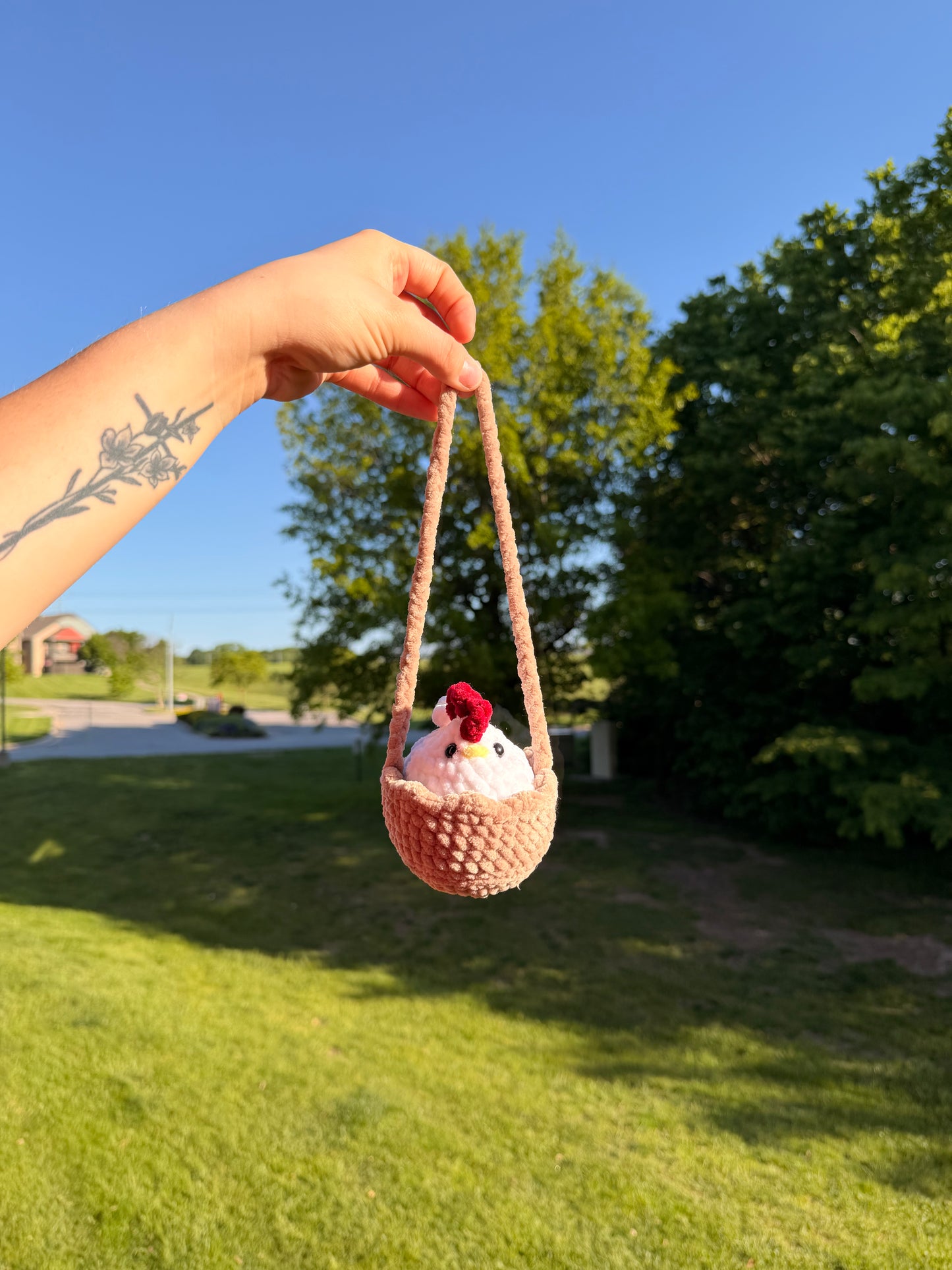 Crochet Chicken in a Swing