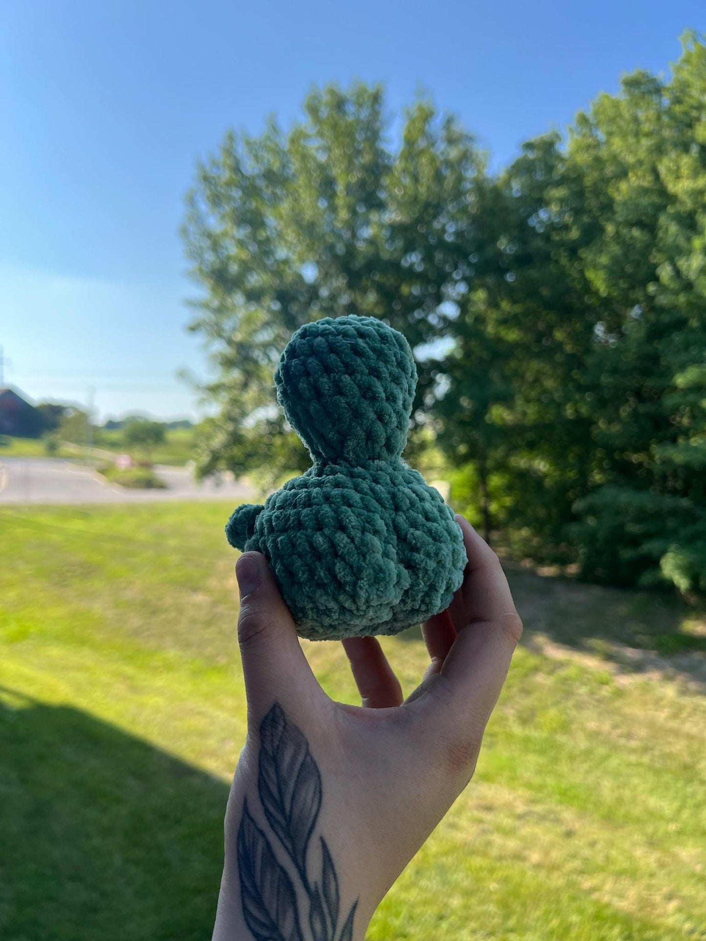 Crochet Butt Turtle