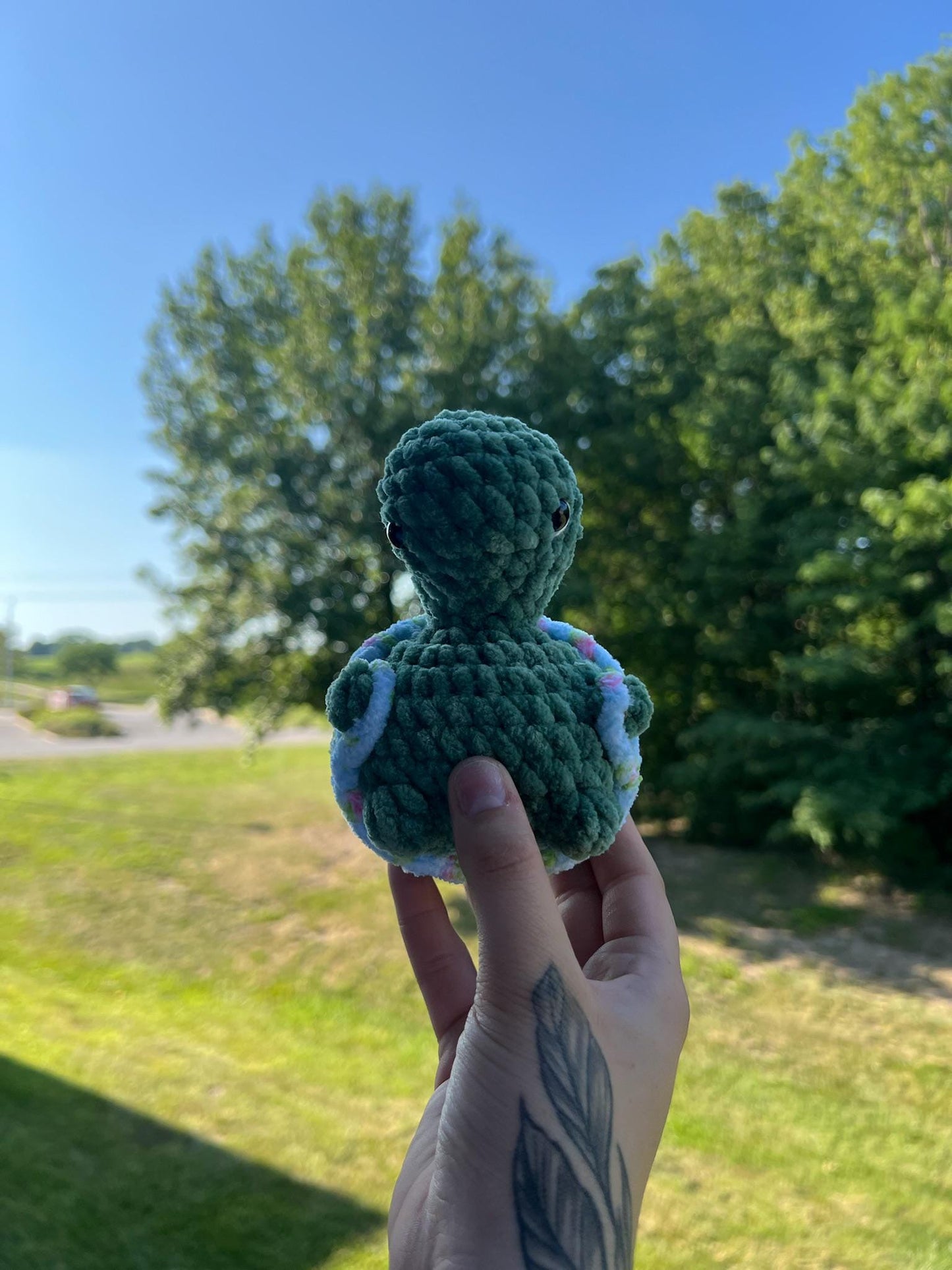Crochet Butt Turtle